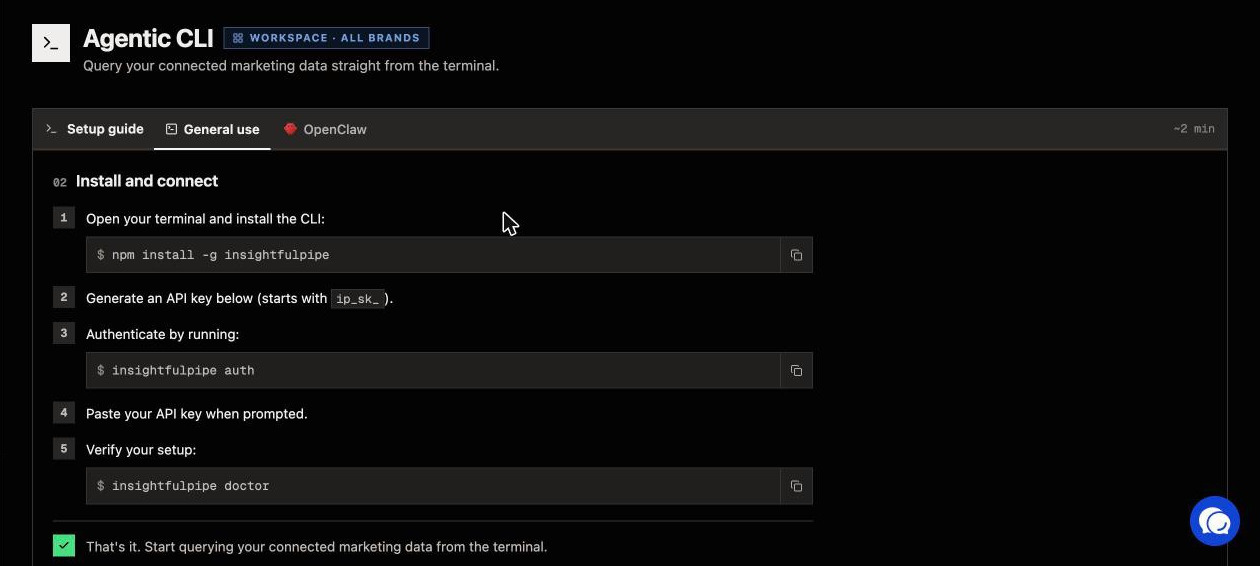 The Agentic CLI page in InsightfulPipe: install with npm, create an API key that starts with ip_sk_, then run insightfulpipe auth and insightfulpipe doctor.